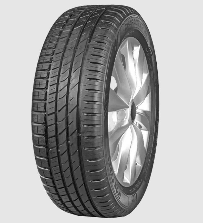 Автошина 205/55 R16 Ikon Character Eco 91 H б/к